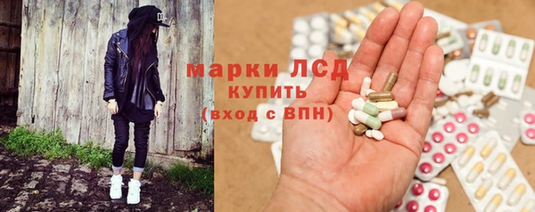 индика Богданович